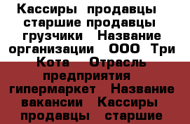 Кассиры, продавцы,  старшие продавцы, грузчики › Название организации ­ ООО “Три Кота“ › Отрасль предприятия ­ гипермаркет › Название вакансии ­ Кассиры, продавцы,  старшие продавцы, грузчики › Место работы ­ Кирова, 191 › Минимальный оклад ­ 14 500 › Максимальный оклад ­ 17 000 › Процент ­ 10 › База расчета процента ­ от оклада › Возраст от ­ 18 - Приморский край, Артем г. Работа » Вакансии   . Приморский край,Артем г.